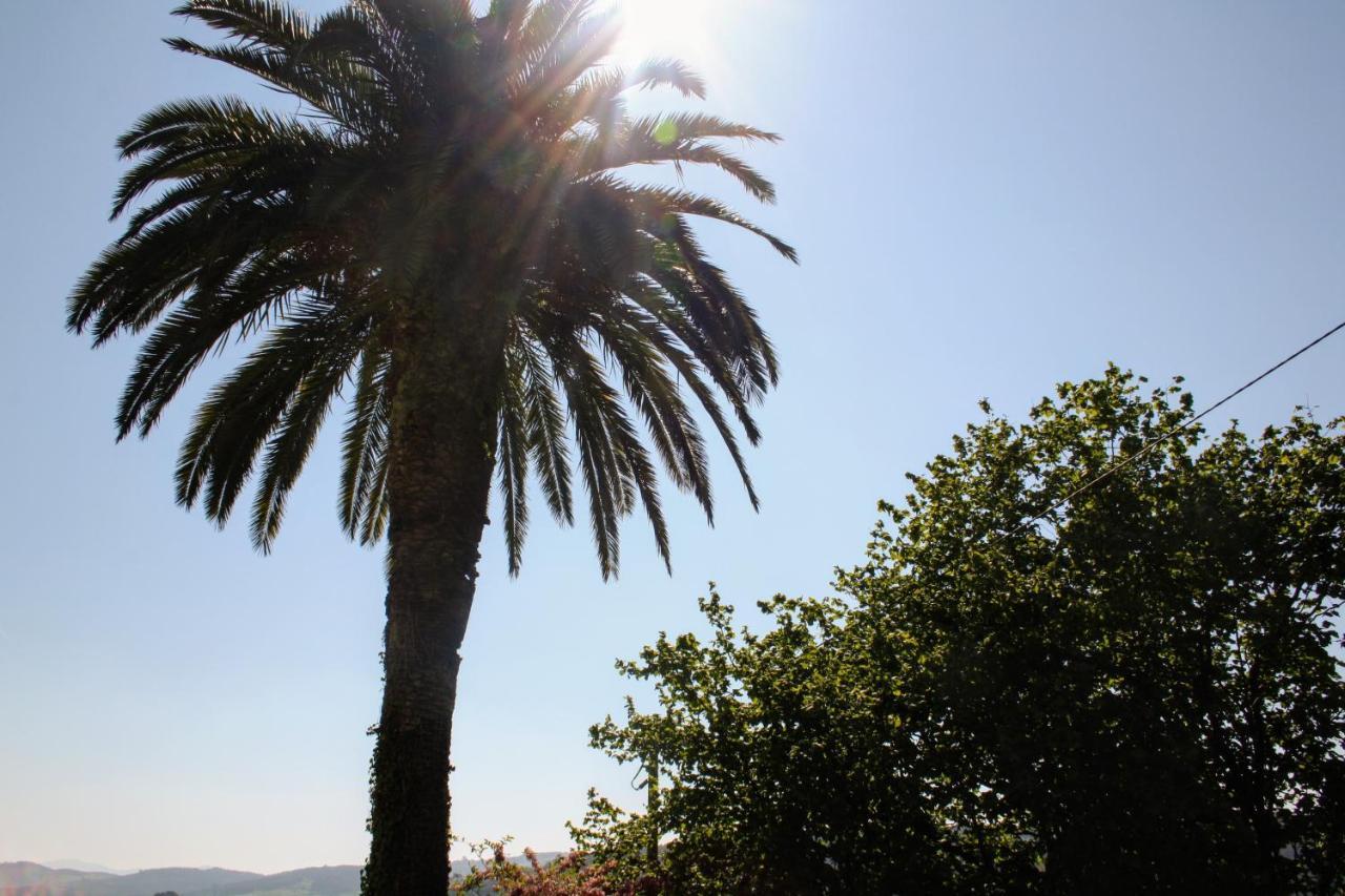 Casa La Palmera Gormazo Kültér fotó