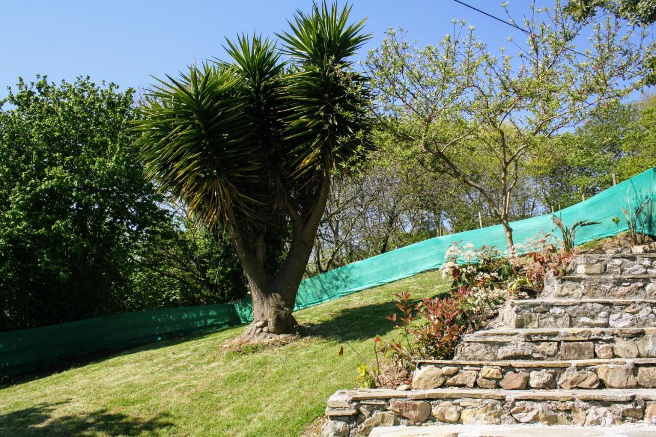 Casa La Palmera Gormazo Kültér fotó